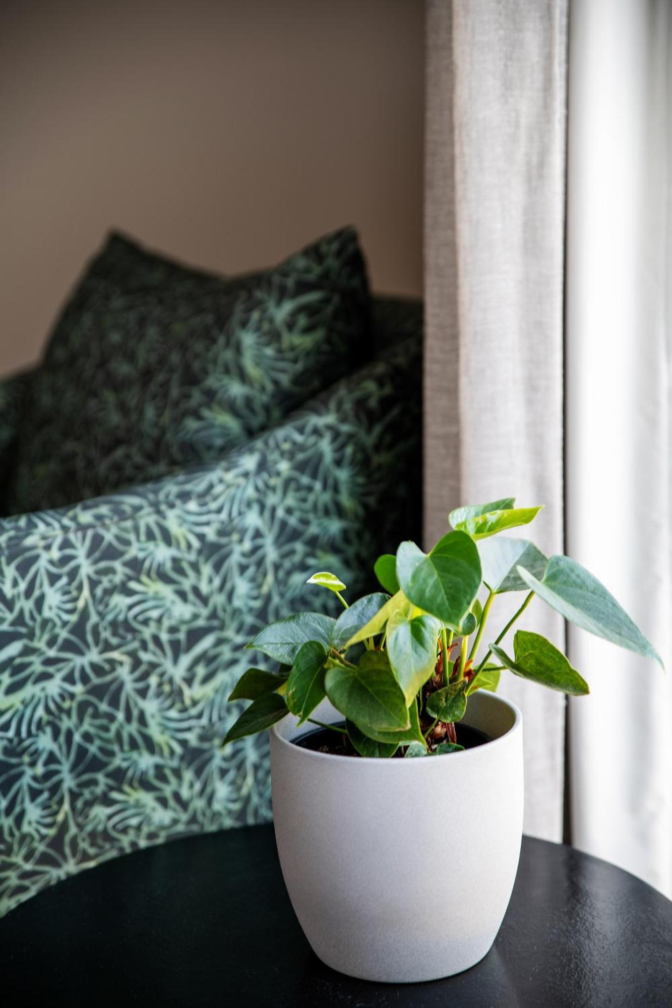 One On High Apartment Плетенбърг Бей Екстериор снимка